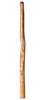 CrookedStixz Didgeridoo (AH410)